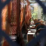 博罗梅奥酒店 罗马